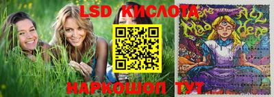 СК Кимры