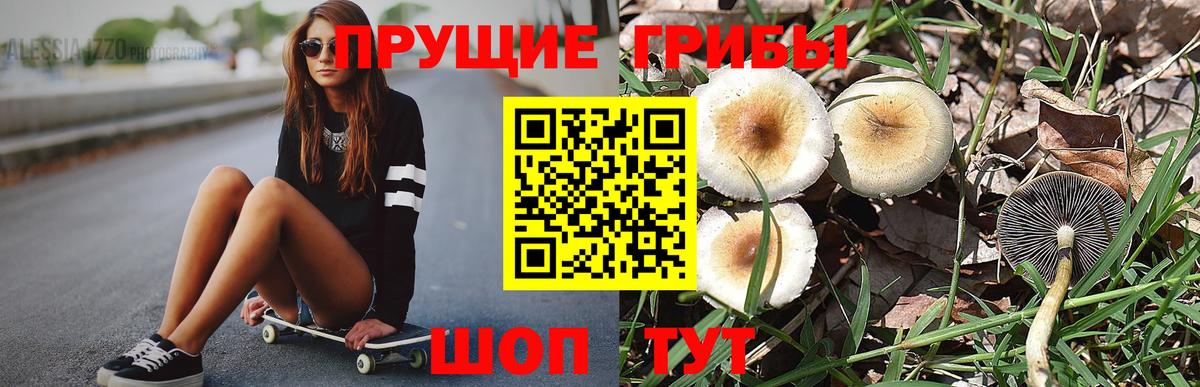 Псилоцибиновые грибы Magic Shrooms  Вход с VPN  Феодосия 