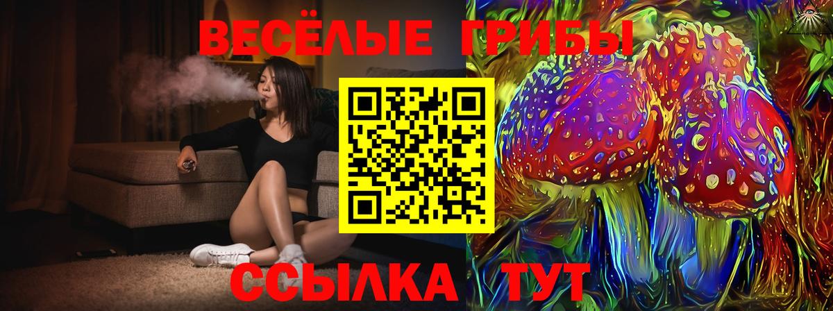 Псилоцибиновые грибы ЛСД Феодосия